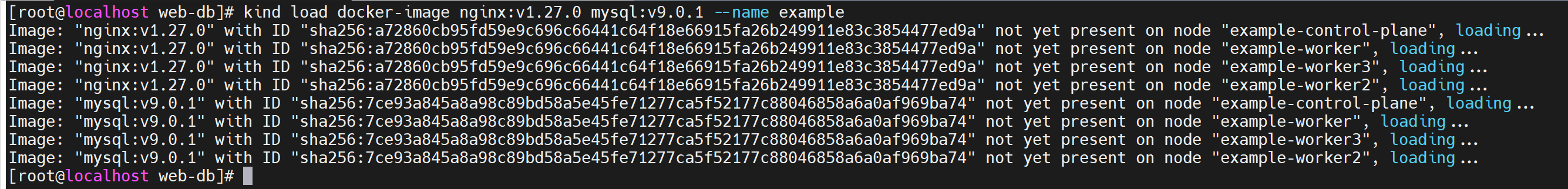 image-20240727190751229