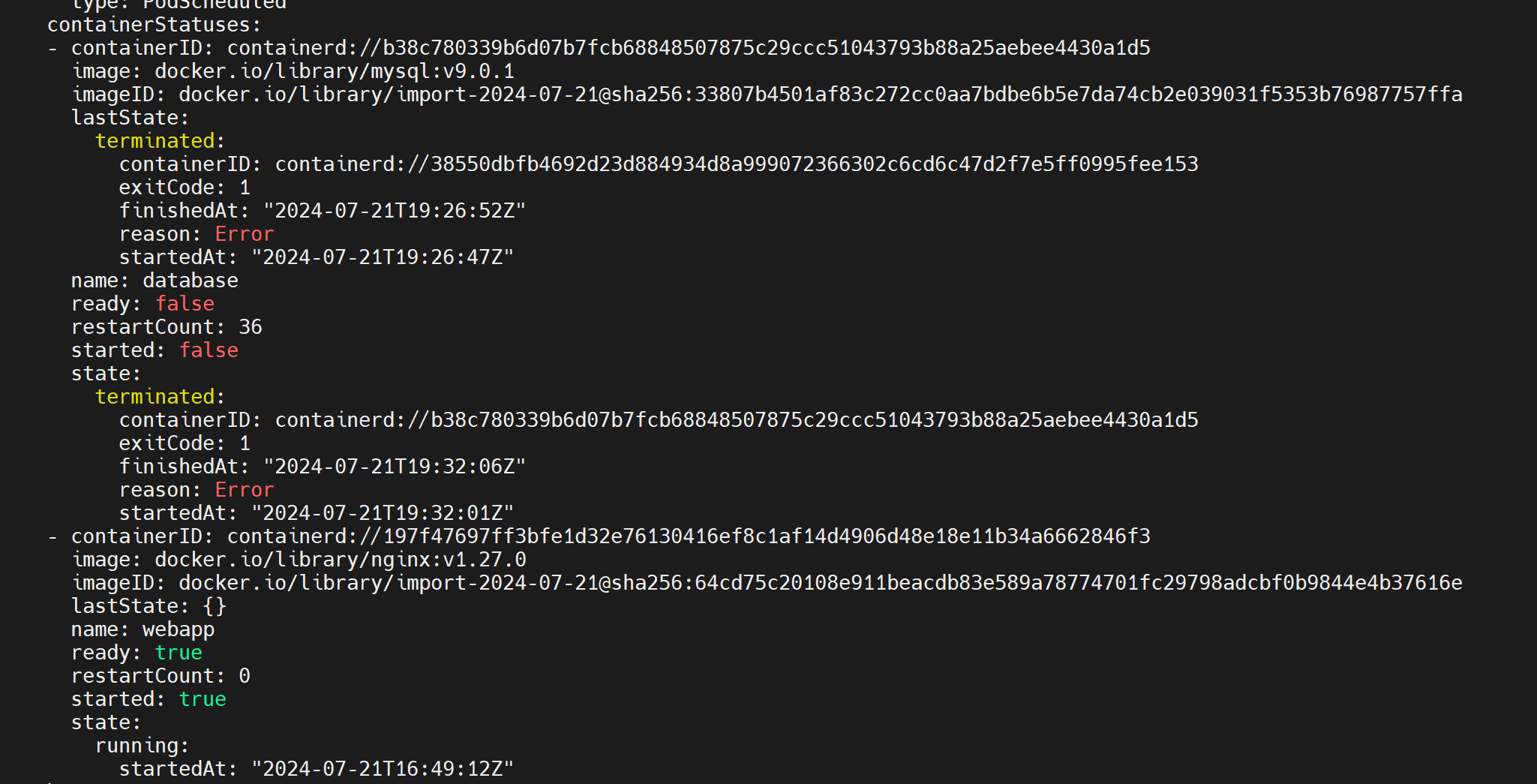 image-20240727213903969